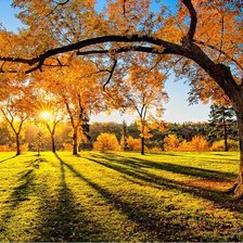 Схема вышивки «осень»