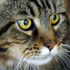 Схема вышивки «№931286»