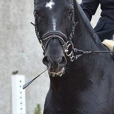 Схема вышивки «Гермес»