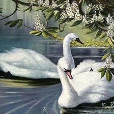 Схема вышивки «Лебединая песня»