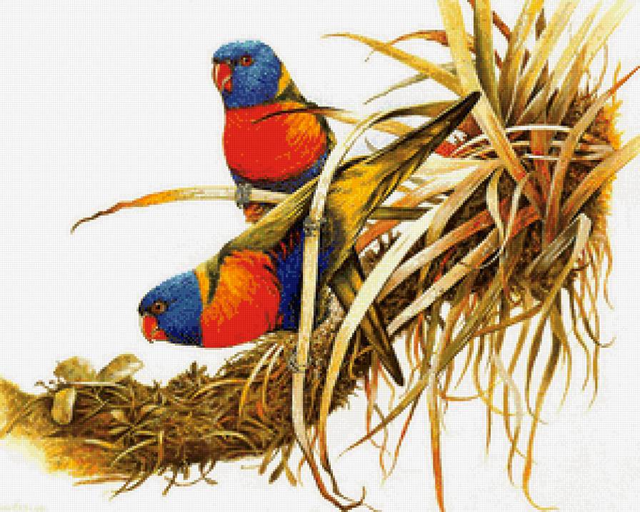 пара птиц на ветке - птицы, цветы, сад, пара, любовь, семья, ветка - предпросмотр