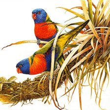 Схема вышивки «пара птиц на ветке»