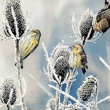 Схема вышивки «воробушки»