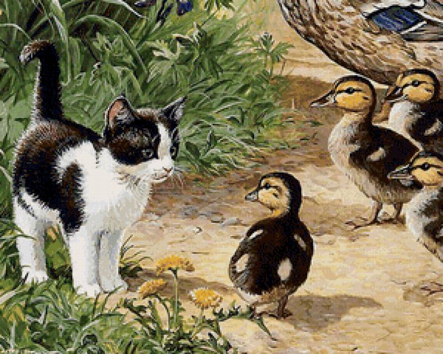 встреча - коты, кот - предпросмотр