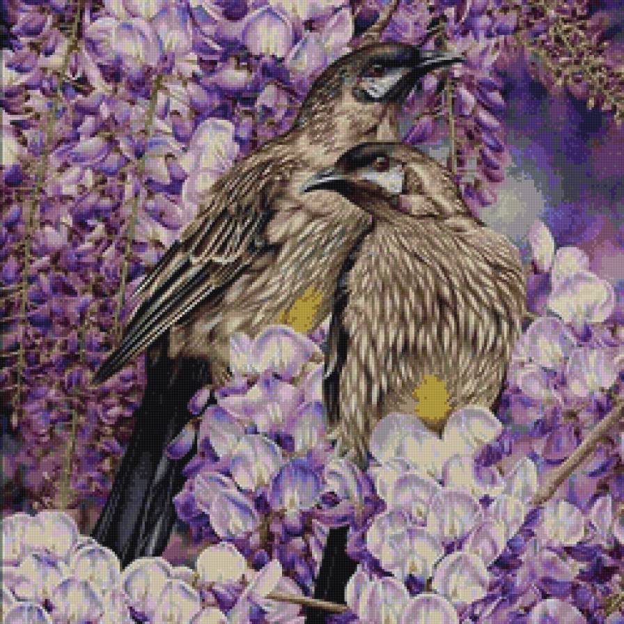 ПТИЦЫ - предпросмотр