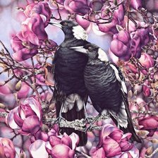 Схема вышивки «ПТИЦЫ»