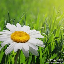 Схема вышивки «№931922»