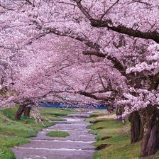 Схема вышивки «№931954»