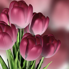 Схема вышивки «тюльпаны»