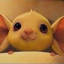 Схема вышивки «Женщина слушает такими ушами»