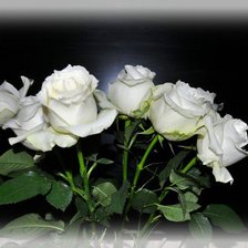 Схема вышивки «розы»