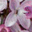 Предпросмотр схемы вышивки «сирень» (№932718)