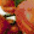 Предпросмотр схемы вышивки «персики» (№932799)