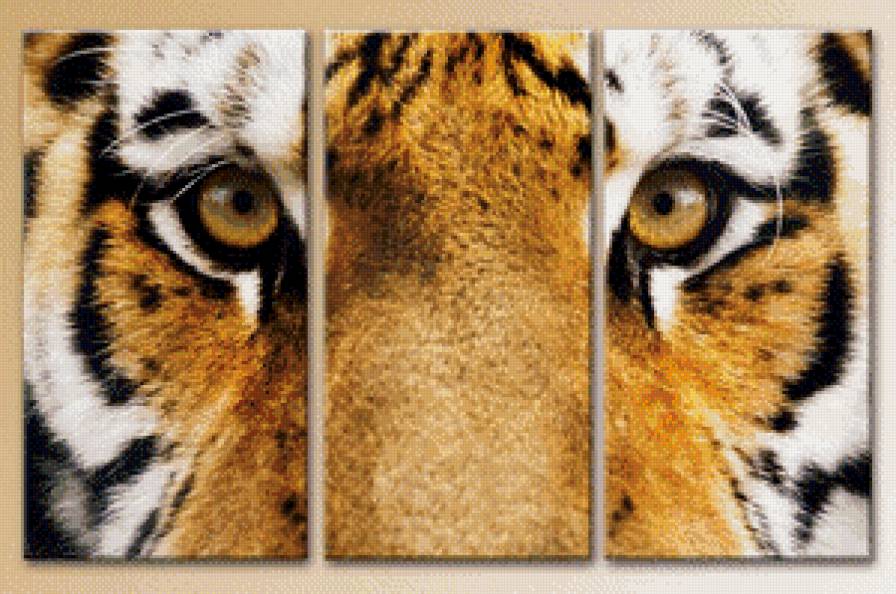 Триптих "Хищник" - дикие животные, триптих, панно - предпросмотр