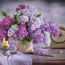 Схема вышивки «№933057»