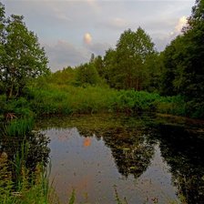 Схема вышивки «Летняя тишина»