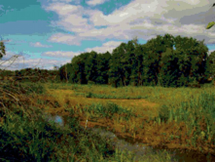 Лесная речка - лес, пейзаж, речка, природа - предпросмотр