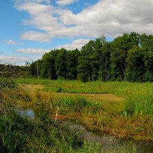 Схема вышивки «Лесная речка»