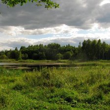 Схема вышивки «Перед грозой»