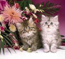 Схема вышивки «№933096»