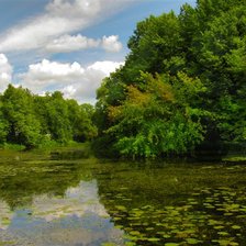 Схема вышивки «Речка в подмосковном лесу»