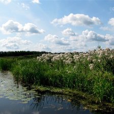 Схема вышивки «Речка»