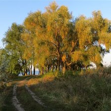 Схема вышивки «Тропа»