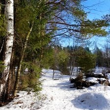 Схема вышивки «Морозный день»