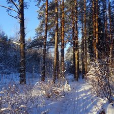 Схема вышивки «Зимний лес»