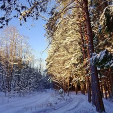 Схема вышивки «Зимний лес»