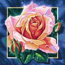 Схема вышивки «Розы»