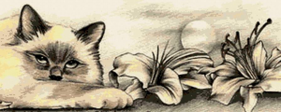 Киса - цветы, кошка, животные - предпросмотр