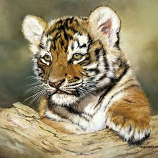 Схема вышивки «тигренок»