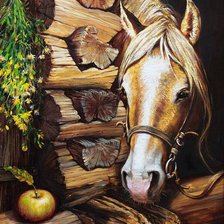 Схема вышивки «Лошадка»