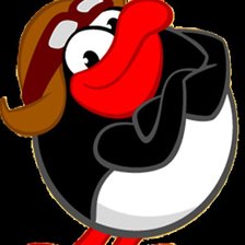 Схема вышивки «пин»