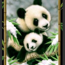 Панда