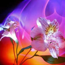 Схема вышивки «№934213»