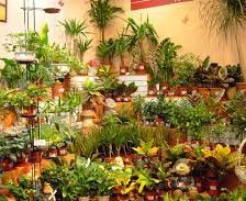 Схема вышивки «№934260»