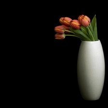 Схема вышивки «Тюльпаны»