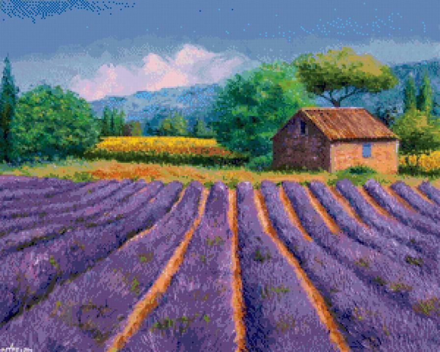 лаванда цветёт - лето, природа, живопись, пейзаж, прованс, лаванда, цветы - предпросмотр