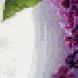 Предпросмотр схемы вышивки «Букет сирени» (№934614)