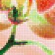 Предпросмотр схемы вышивки «Нежная орхидея» (№935101)