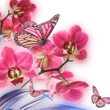 Схема вышивки «Нежная орхидея»