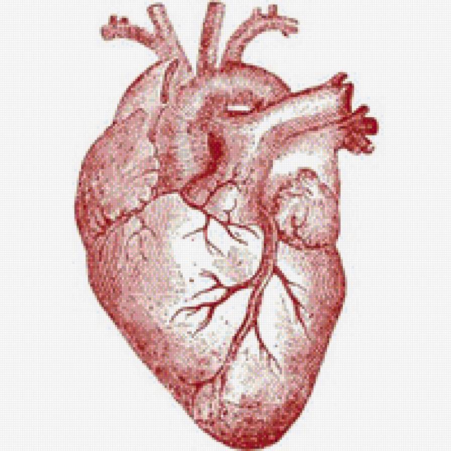 corazo - предпросмотр