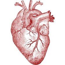 Схема вышивки «corazo»