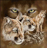 пума - оригинал