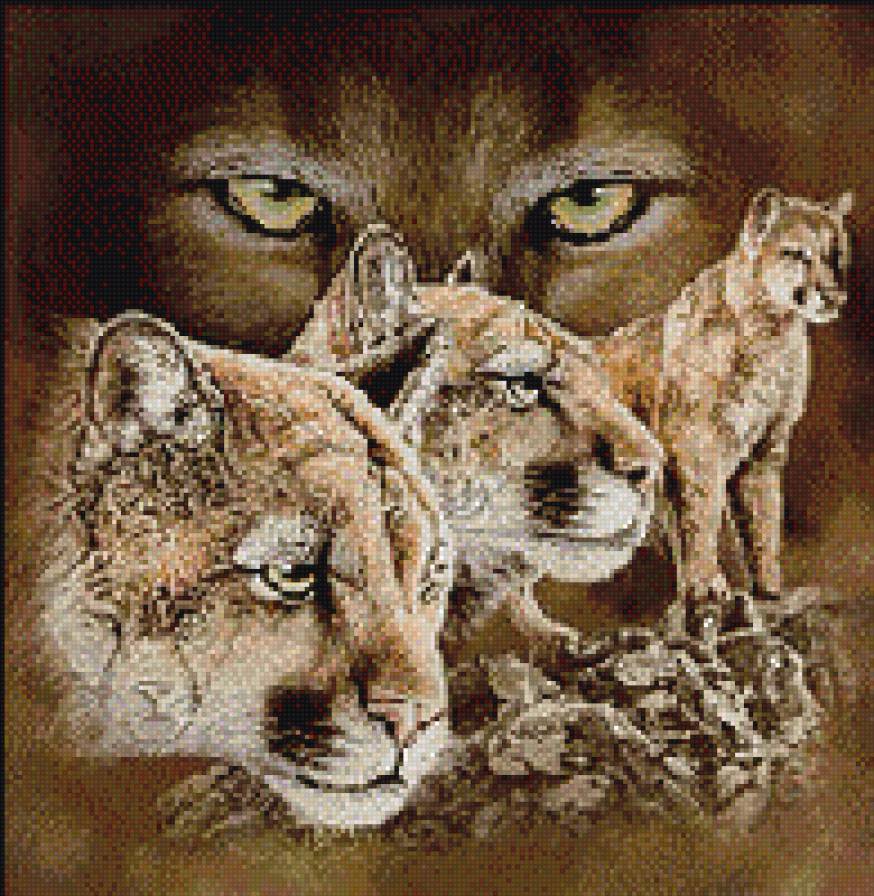 пума - предпросмотр