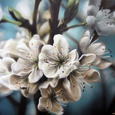 Схема вышивки «№935577»