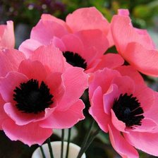 Схема вышивки «серия "цветы"»