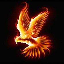 Схема вышивки «феникс»